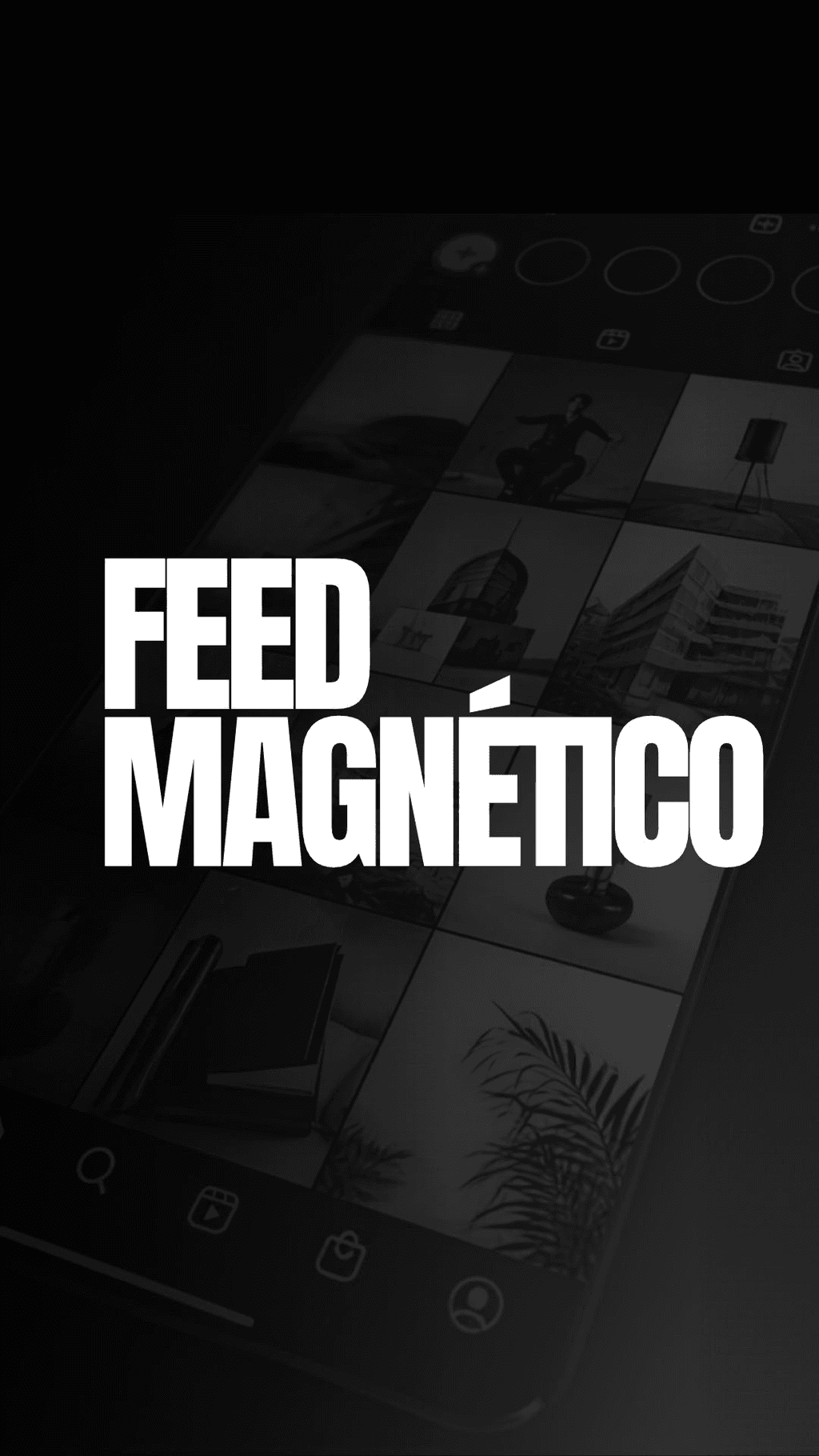 Feed Magnético